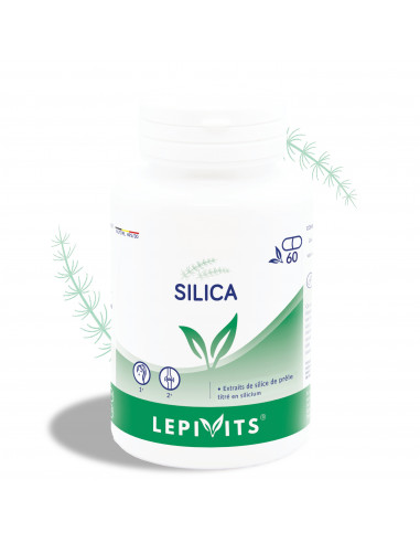Silica_60 V.GELS-LEPIVITS