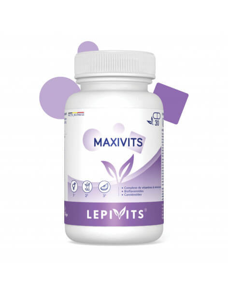 MaxiVits