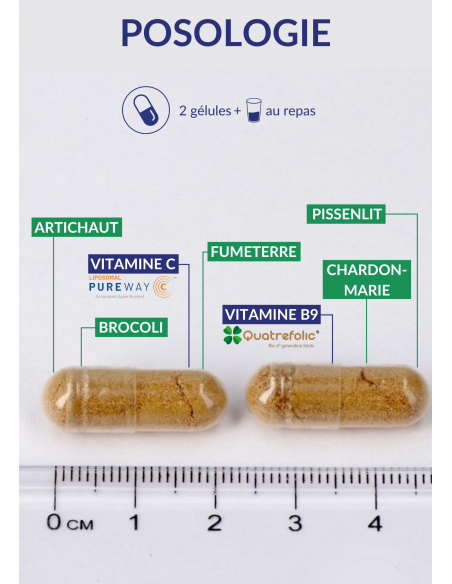 Posologie Détoxivits