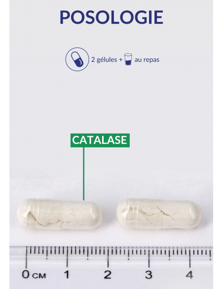 Posologie de la Catalase