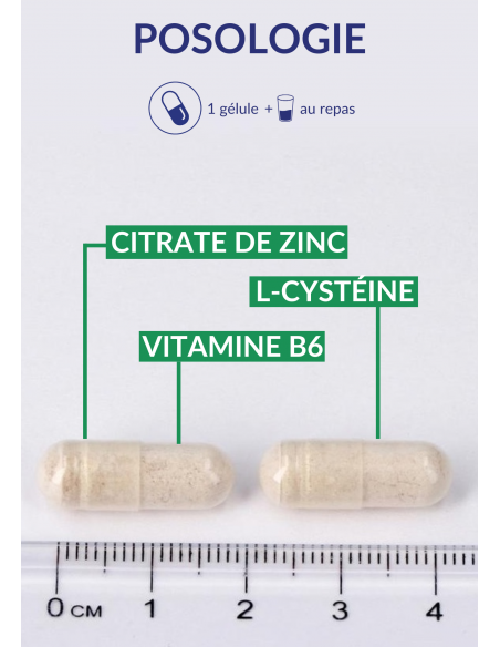 Posologie du Zinc Forte