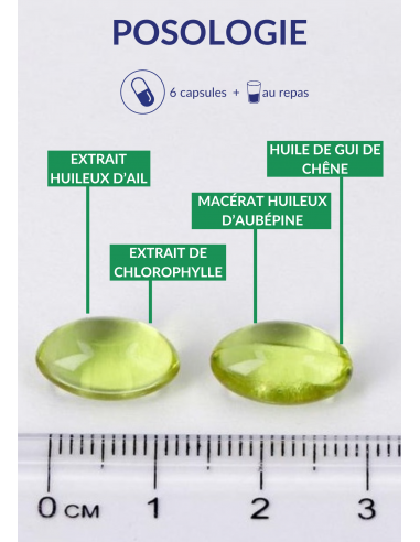 Posologie de l'Ail-Gui-Aubépine