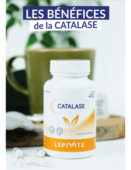Bénéfice de la Catalase