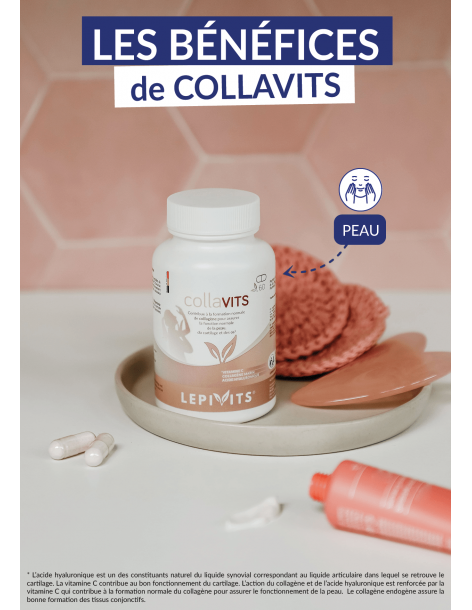 COLLAVITS 2