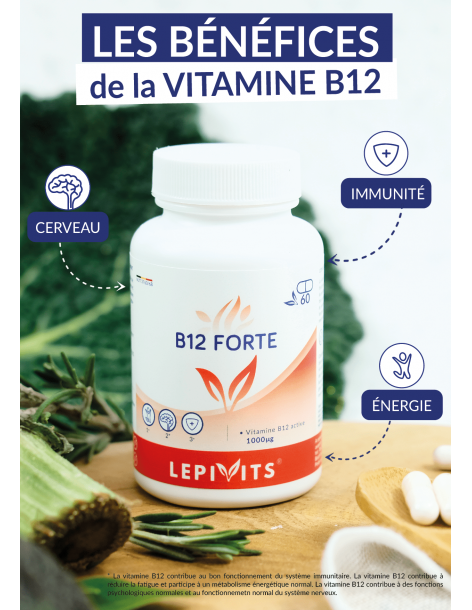 B12 FORTE_60 gélules végétales-LEPIVITS 2
