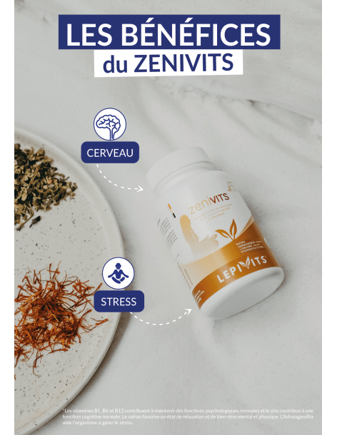 ZENIVITS 2