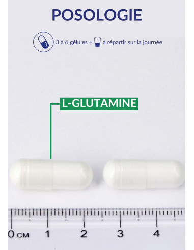 Posologie Glutamine Max