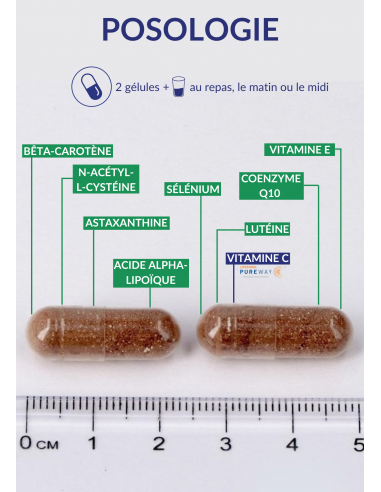 Posologie d'Antioxyvits