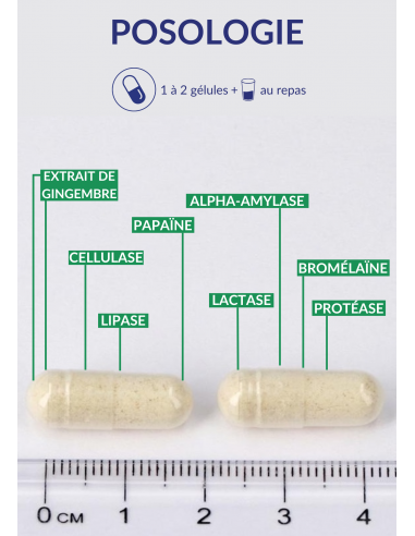 Posologie d'Enzyvits