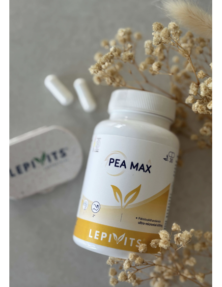 Complément PEA Max formule pure minimaliste