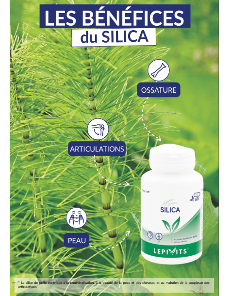 Silica_60 gélules végétales-LEPIVITS 2