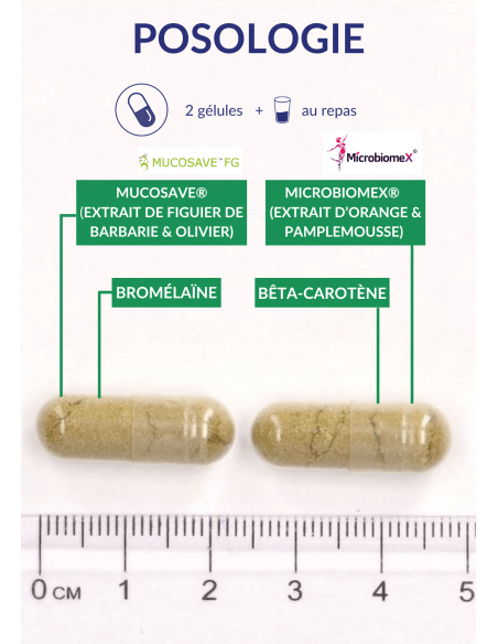 Posologie Perméavits