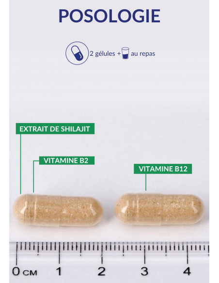 Posologie du Shilajit