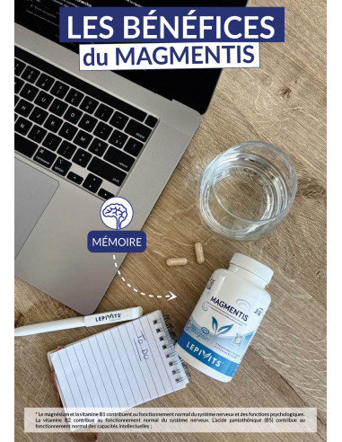 Les bénéfices du Magmentis