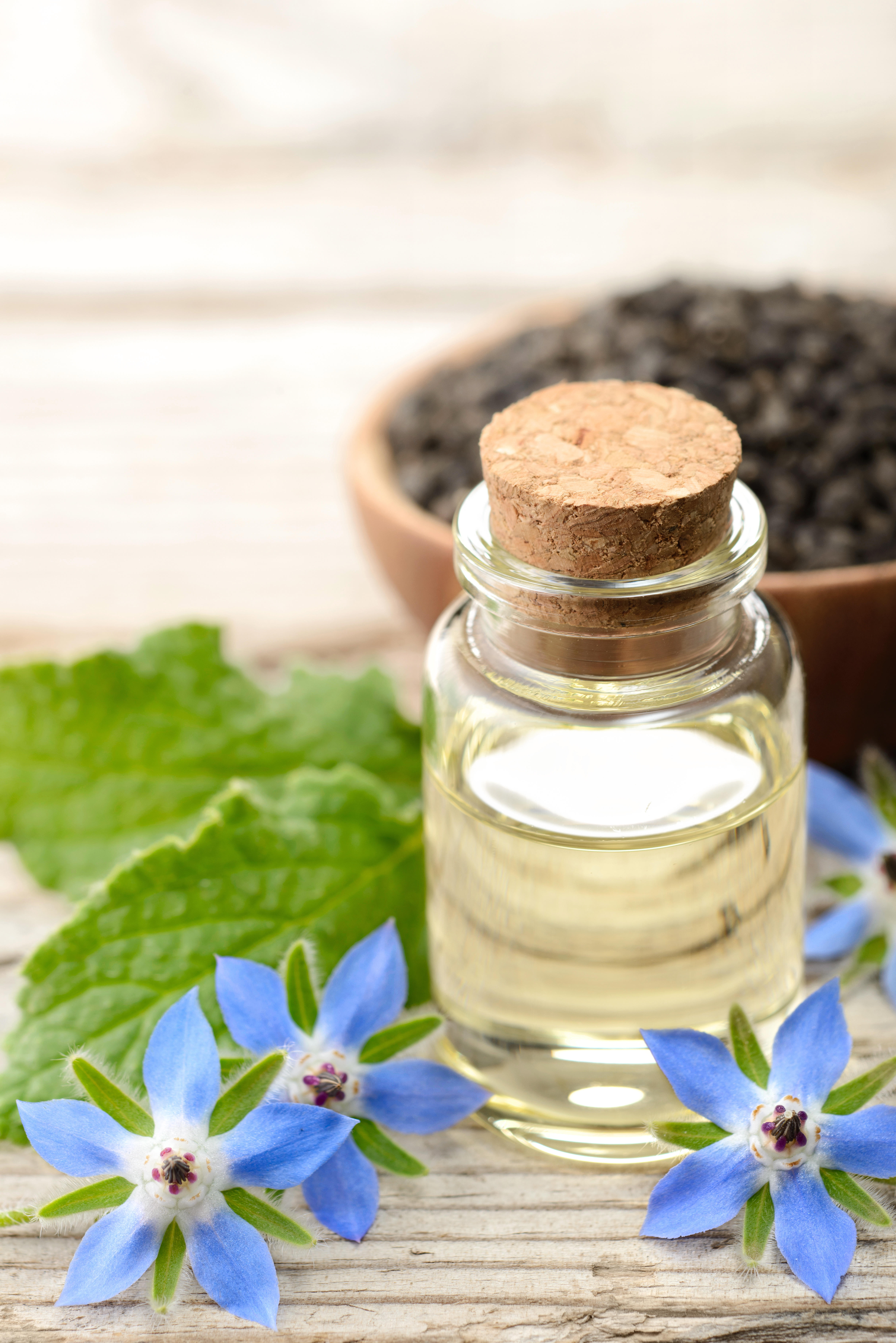 Teunisbloem- en borageoli&euml;n, rijk aan gamma-linoleenzuur