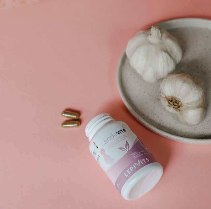 Equilibre intestinal