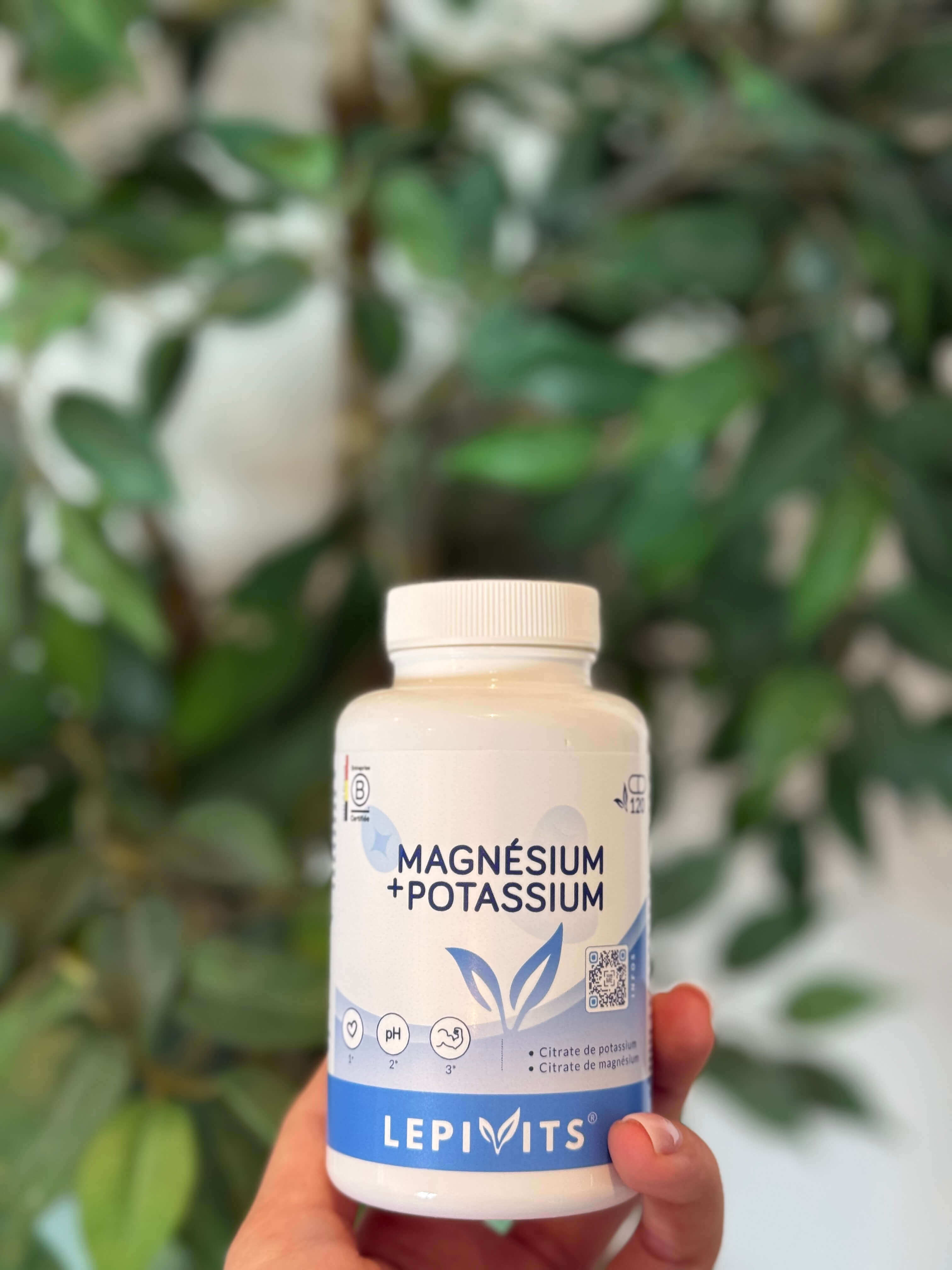 Magn&eacute;sium-potassium