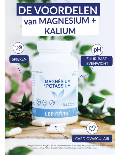 Magnesium + Kalium 120 capsules Lepivits 2