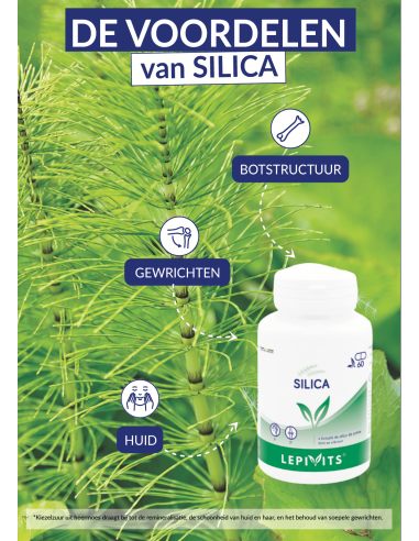 Voordelen Silica