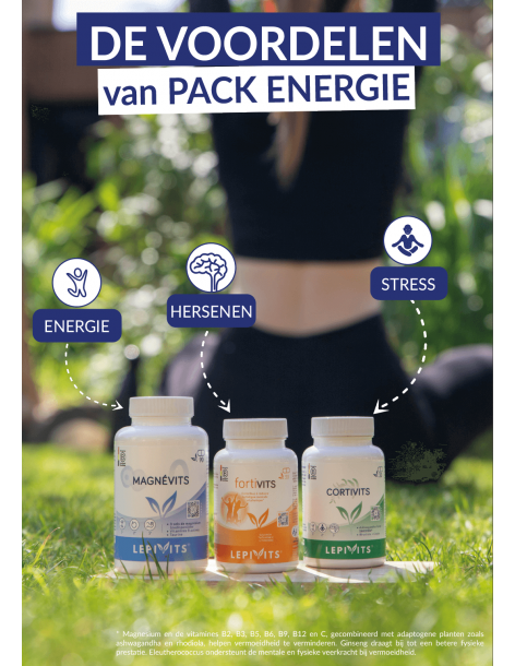 Pack energie 2