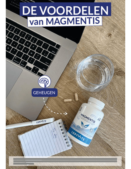 Voordelen Magmentis