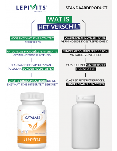 Verschil Katalase