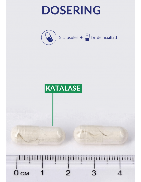 Dosering Katalase