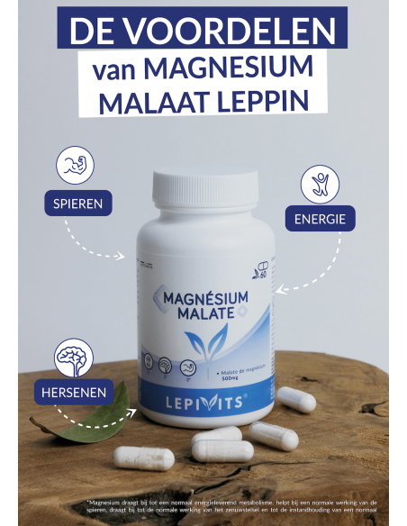 Voordelen van magnesium malaat leppin